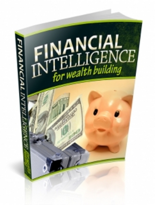 Product picture Financial Intelligence For Wealth Building - PLR