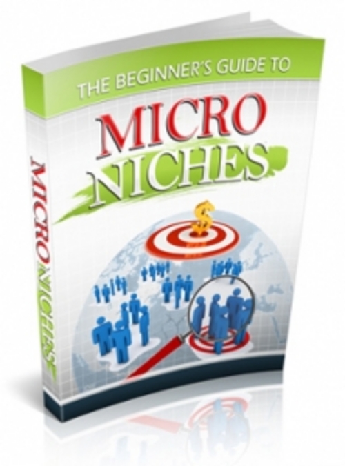 Product picture The Beginners Guide to Micro Niches - PLR
